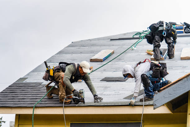 Professional Gutter Installation technician working in Sheffield, AL